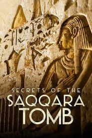 Los secretos de la tumba de Saqqara