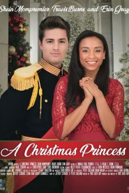 De Chef a Princesa en Navidad